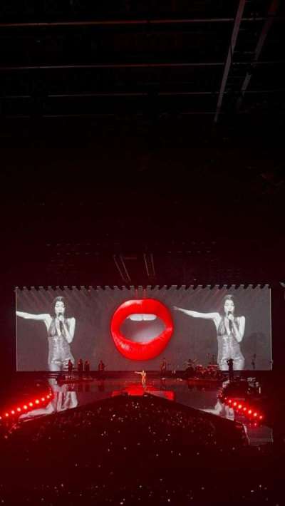 ziggo dome section 207