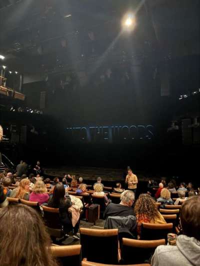 Bridge Theatre section Stalls