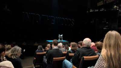 Bridge Theatre section Stalls