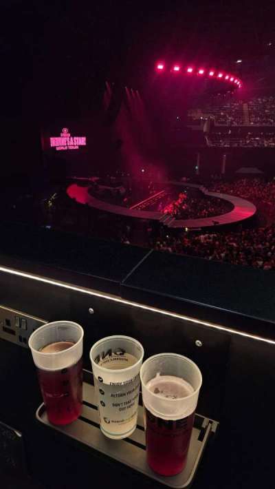 OVO Hydro section 202