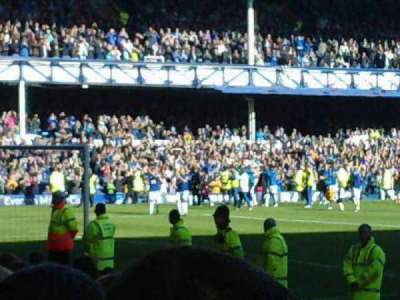 Goodison Park section gwladys