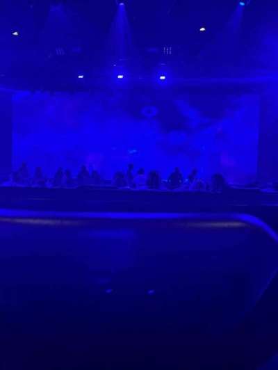 Blue Man Group Theater section 203
