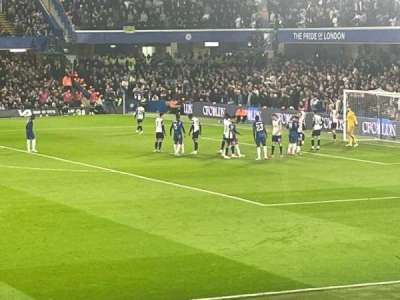 Stamford Bridge section Lower W