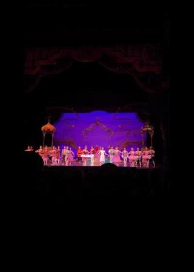 Winspear Opera House section Orchestra C