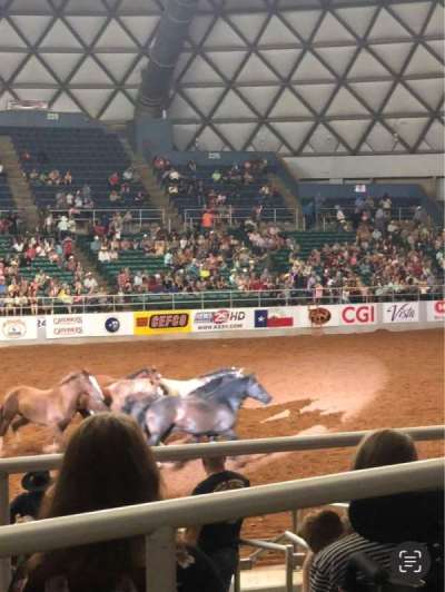Garth Arena