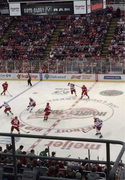 Joe Louis Arena section 220