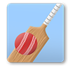 15 photos from Cricket games