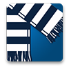West Bromwich Albion FC Game