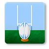 Rugby Fan