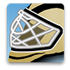 Pittsburgh Penguins Game
