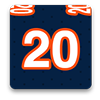 Denver Broncos Fan