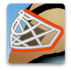 Anaheim Ducks Game