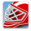 Detroit Red Wings Game