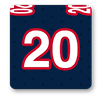 New England Patriots Fan