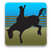 Rodeo