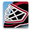 Ottawa Senators Game