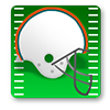 Miami Dolphins Game