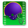 Minnesota Vikings Game
