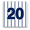 20 photos with the New York Yankees