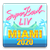 2020 Super Bowl