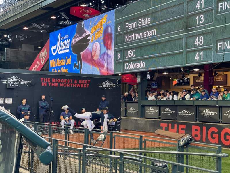 Seating view for  Section The Pen 